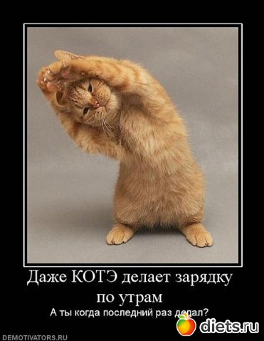 мотив картинки мотив картинки