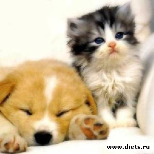 Количество шагов в день для похудения