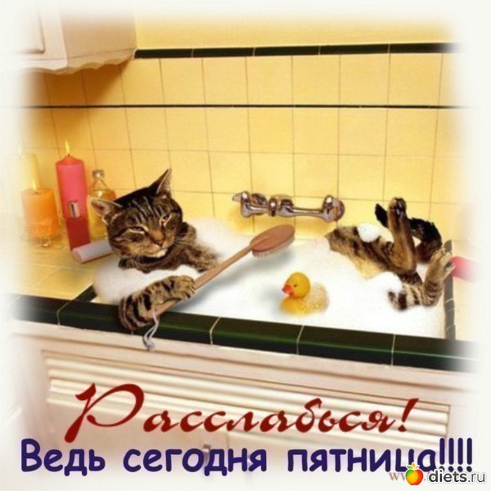 http://st1.diets.ru/data/cache/2012nov/06/56/1076845_69166-700x500.jpg