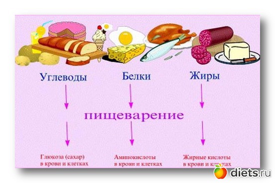 Что приготовить с говядины для ребенка 1