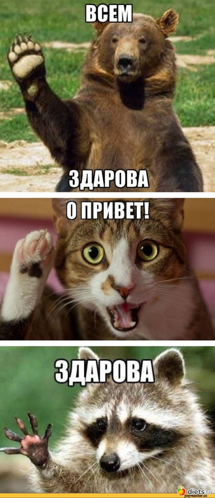 Дневник питания Дневник питания