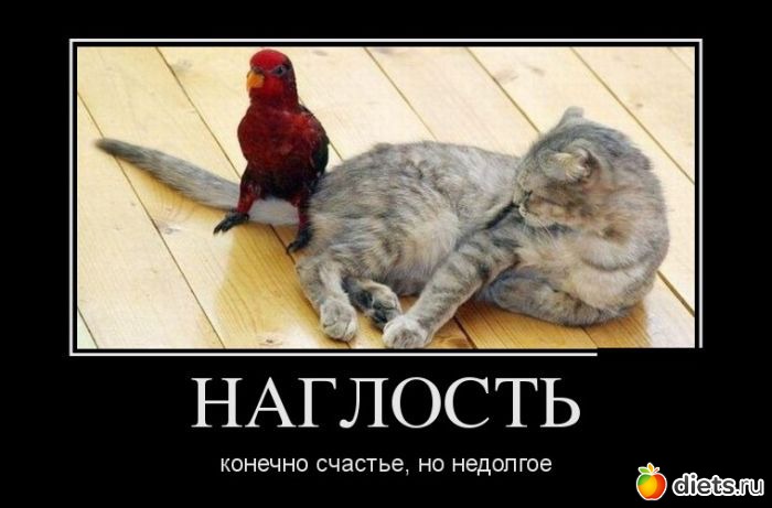 Откуда в лёгких вода Откуда в лёгких вода